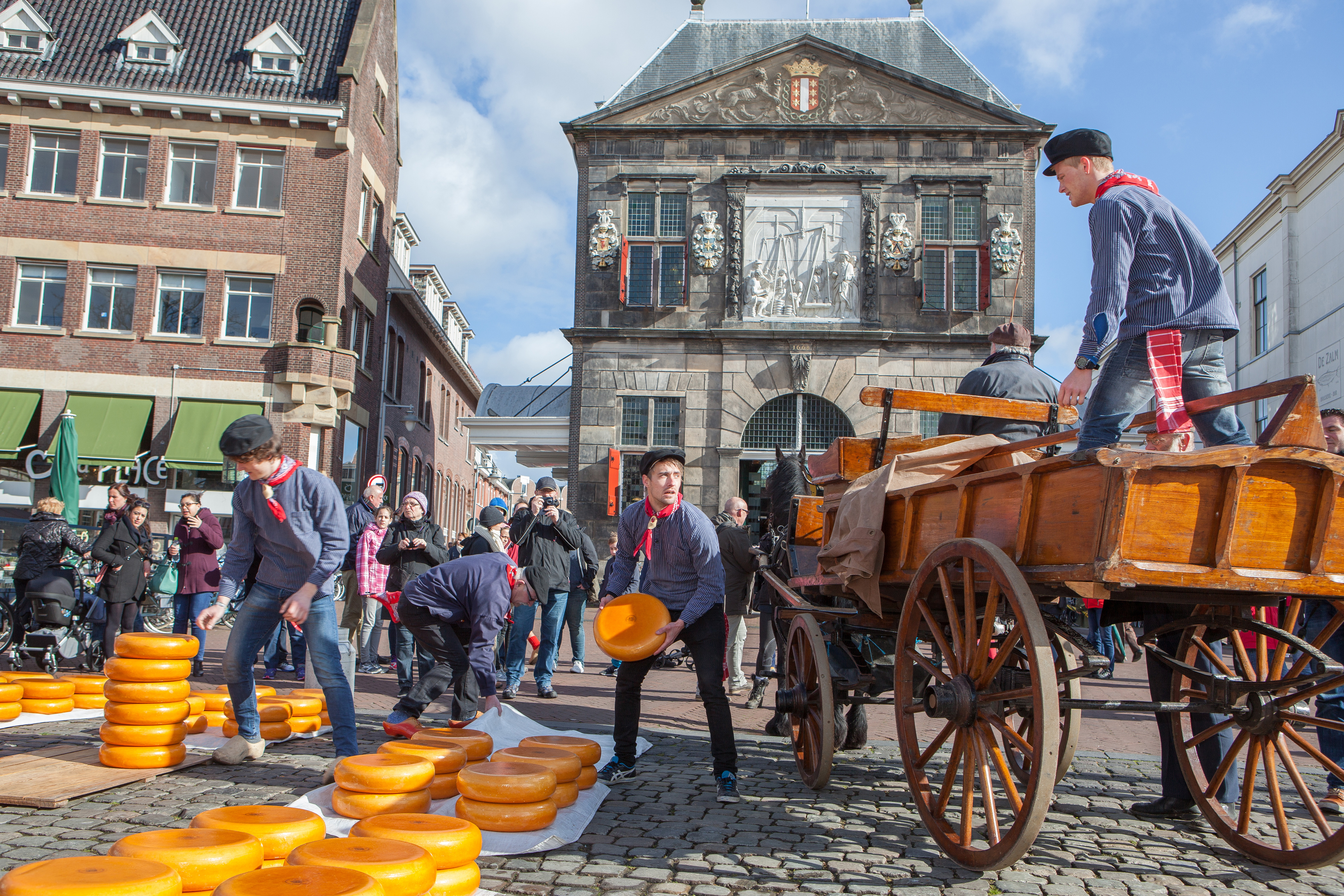 Bekijk deze afbeelding van deze dienst Gouda Kaasmarkt op Goudse Kaasmarkt